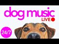 24/7 Soothing Sleep Music for Dogs | Used by Over 10 Million Dogs