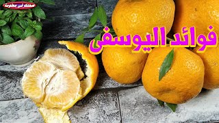 فوائد اليوسفى العلاجية والامراض التى يقى منها واستخدامات اليوسفى لا تحصى للجسم ؟؟