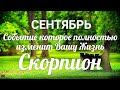 ♏СКОРПИОН. СЕНТЯБРЬ. Таро-Гороскоп Скорпион/Taro_Horoscope Scorpiо.