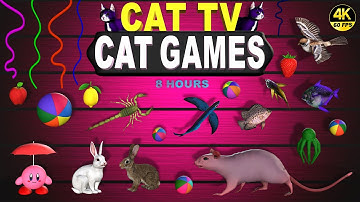 CAT GAMES | BEST VIDEOS FOR CATS TO WATCH ULTIMATE CAT TV |  ENTERTAINMENT FOR CATS 😻 4K 60 FPS