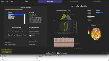 Resting state functional connectivity in CONN (#2)