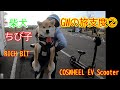 【柴犬】ちび子　RICH BIT COSEHEEL EV Scooter 電動キックボードで散歩する。