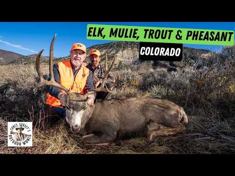 Western Slope Classifieds: The Ultimate Guide