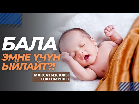 Video: Эмне үчүн төрөлө элек наристе кычыратат?