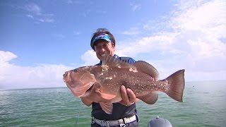 【釣り百景】#175 ゲームフィッシングの聖地　原点のフロリダ釣行　PART2