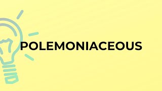 What is the meaning of the word POLEMONIACEOUS?