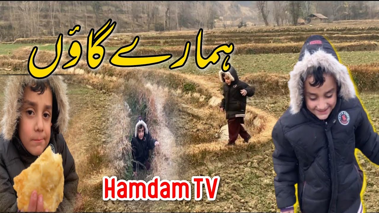 Pakistan Village life||Shangla Puran||Hamdam TV||Vlogs of Shangla Puran with Waleed Hamdam 