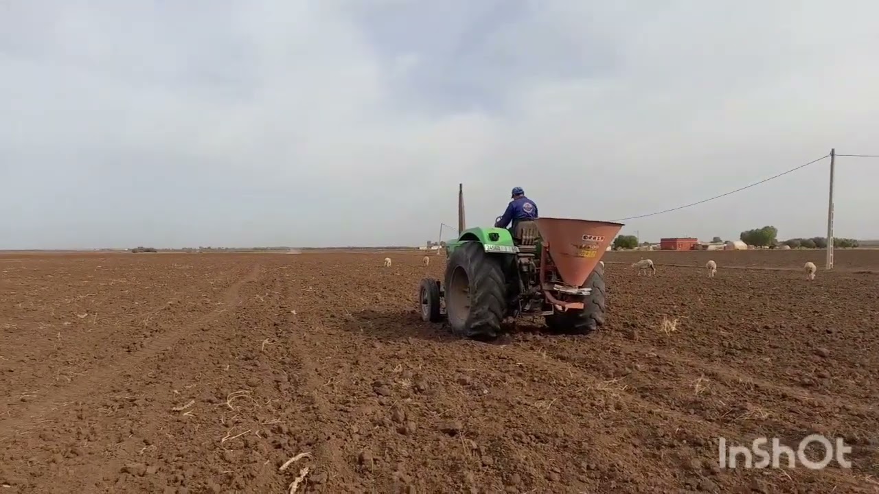 موسم زراعة القمح و الشعير