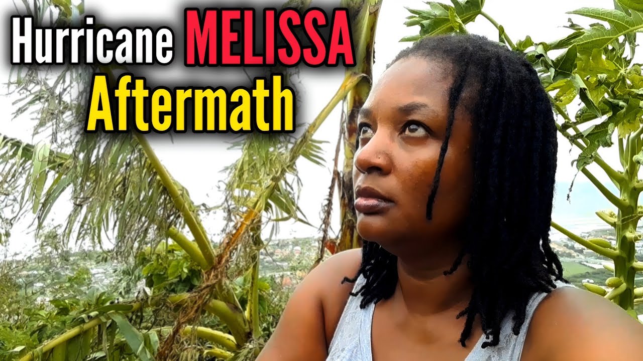 ПОСЛЕДСТВИЯ УРАГАНА МЕЛИССА НА МОЕМ КОНТЕЙНЕРНОМ ОГОРОДЕ/НАШЕМ ОСНОВНОМ ИСТОЧНИКЕ ПРОДУКТОВ ПИТАНИЯ