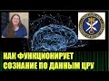 Как функционирует сознание и как увидеть прошлое и будущее, секретный доклад ЦРУ