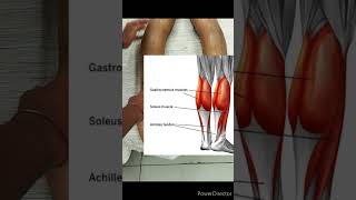 calf massage for pain relief. how to massage tight calf muscles. #calfpain #calfstretch #calfmuscles