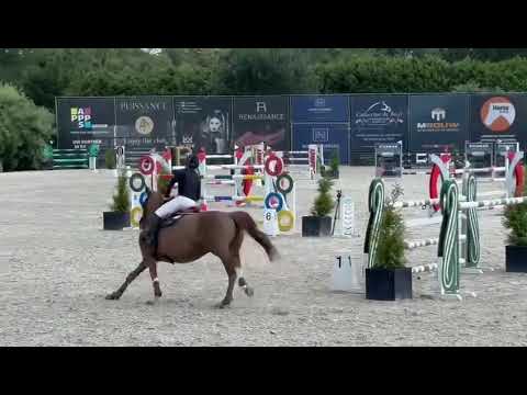 Guyana de la Cense 140 CSI2** Bonheiden