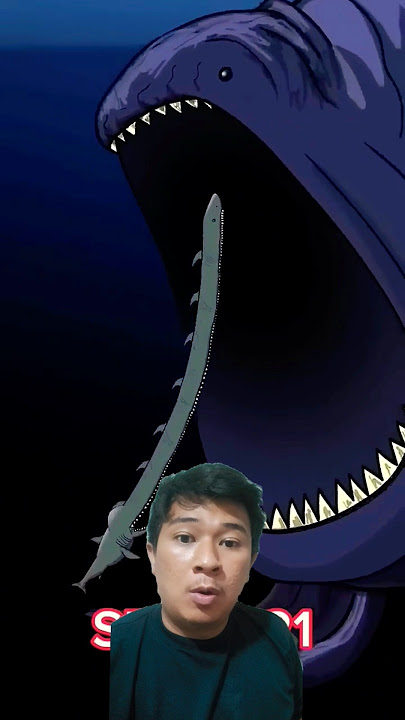 ANIMASI MENAKJUBKAN IKAN TERBESAR DIDUNIA ‼️🔥 #shark #alightmotion #evolution #animation #shorts