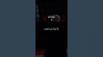 سوره الضحى💕|| قران كريم🤍|| بصوت القارئ ماهر المعيقلي ||#قرآن #الحمدلله والشكر لله❣️
