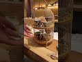 知ってたらモテる、いやモテてるは知ってる