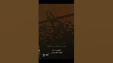 ﴿ يَا بُنَيَّ إِنَّهَا إِن تَكُ مِثْقَالَ حَبَّةٍ﴾ [ لقمان: 16 ] القارئ: اسلام صبحي .