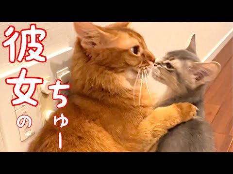 【癒し閲覧注意】無理矢理チュウしたら臭かった❣️【ソマリ】