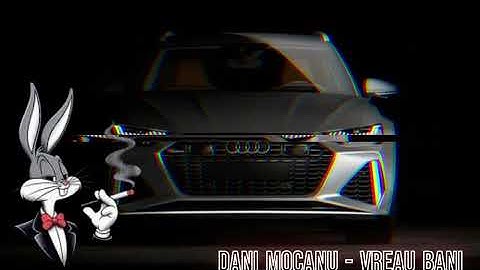 Dani Mocanu - Vreau bani  Official Video