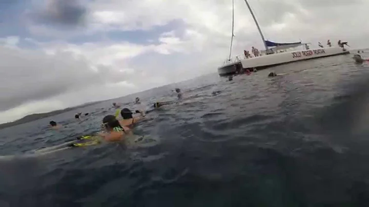 Catamaran Sail & Snorkle in Roatan Honduras - Paul...