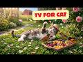 🐦Cat TV for Cats to Watch | Birds & Squirrels Feasting in the Forest 🌿 4K HDR Entertainment for Cats