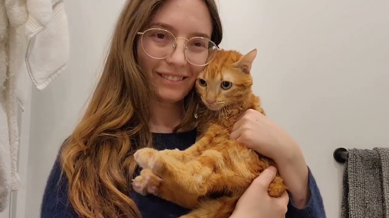 Butters the CH Kitten - Daily Physio Routine