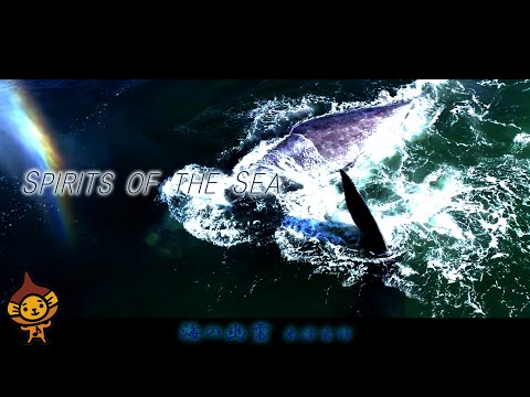 「海の幽霊」 米津玄師/フル　歌詞付(cover)byマロディ♪