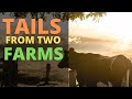 Tails From Two Farms - Air Rifle Pest Control