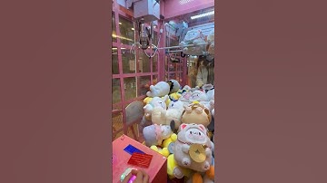 Easy bunny win! #shortvideo #shorts #clawmachine #vancouver #plush #jpop  #kawaii #bunny