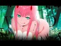 Ryscu  wild  official amv