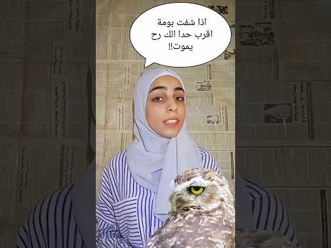 ليش البومة مصدر شؤوم ويتجيب الحظ السيء