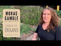 Grow and Use Oregano with Morag Gamble