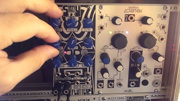 Snazzy FX Wow and Flutter Euro module barks!