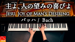 主よ、人の望みの喜びよ（Jesu, Joy of Man's Desiring）｜J.S.バッハ｜ピアノ演奏【楽譜集Vol.2発売記念】｜CANACANA