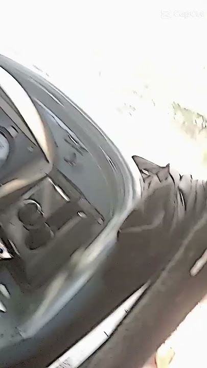 Download lagu modul takur aprilia#apriliars#modultakur