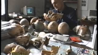 Download Lagu National Geographic | Explorer - Dmanisi Hominid Archaeological Site MP3 Download Lagu National Geographic | Explorer - Dmanisi Hominid Archaeological Site MP3