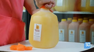 How It's Actually Made - Orange Juice