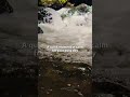 Peaceful Water Flow 🌿 Relax in Seconds