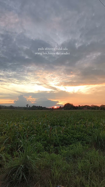semangat muda #senja #storywa #arabic #sunset #fyp
