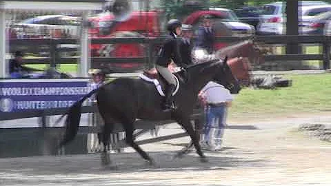 Video of CROUPIER ridden by NICOLE GUTHRIE from Sh...