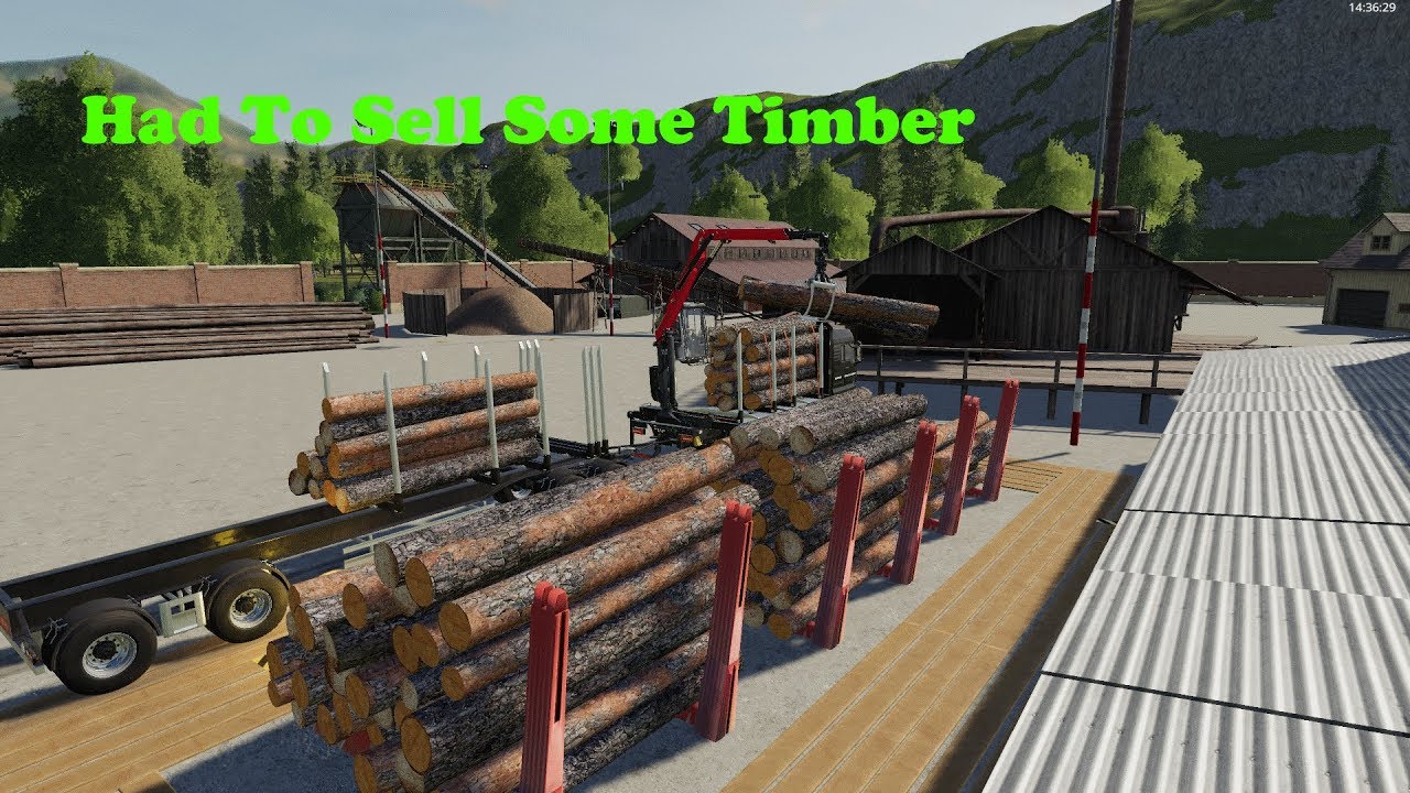 FS19 | MP On Grizzly Mountain | Time To Earn Some Money! | Timelapse