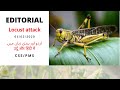 February 1st, 2020 || Dawn Editorial Analysis in Urdu/Hindi || Locust attack