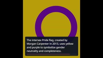 The Colorful Journey of LGBTQ+ Pride Flags