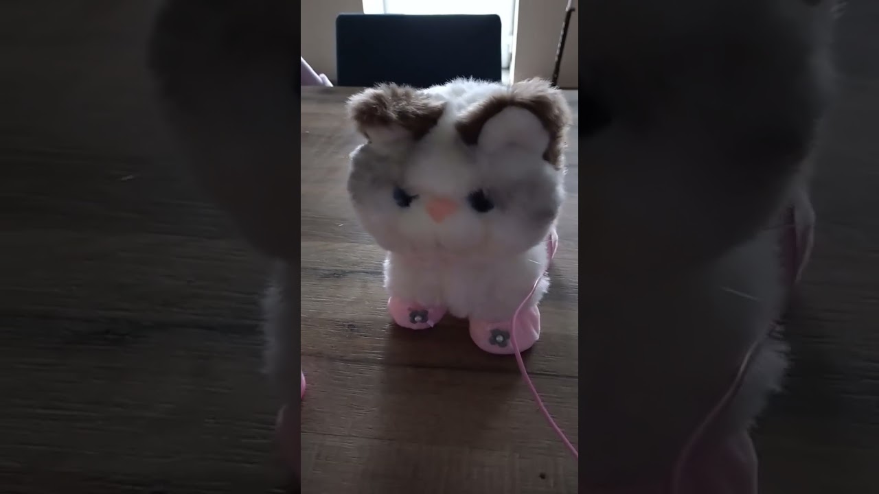 RuiDaXiang Chat en Peluche électronique, Un chat tout doux mais qui miaule fort