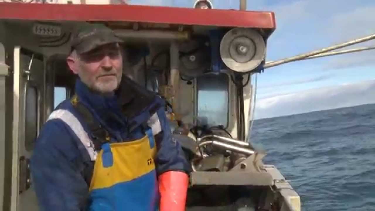 Atlantic Oil and Fish in the North Atlantic YouTube