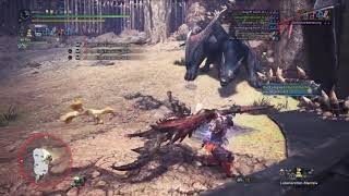 Midair impact echo wave