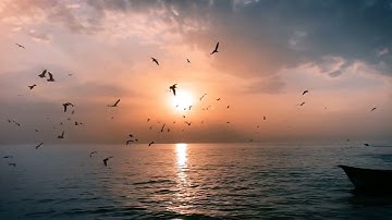 سورة الصف بصوت القارئ احمد النفيس