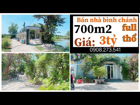 Video Bán Nhà Bình Chánh Quốc Lộ 50 Biệt Thự Vườn 700 m2... - youtube