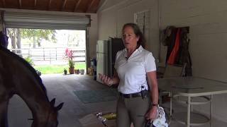 Spooky Horse Behavior: What Causes it and How to Fix