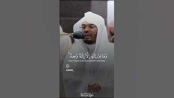سورة المائدة تلاوة القارئ ياسر الدوسري #quran #yasseraldossary #قرآن #تلاوة_مميزة #قرآن_كريم #quran