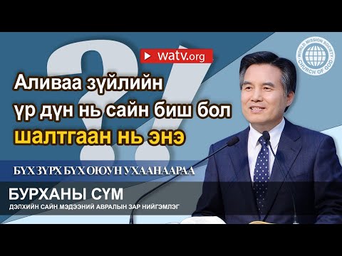 Видео: Хэн хамгийн сайн хамтрагч вэ: зүрх сэтгэл эсвэл оюун ухаан